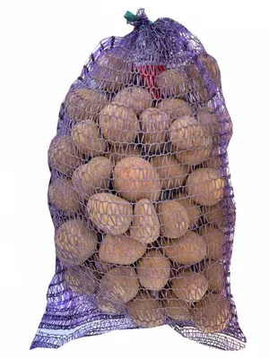 Сорта картофеля - Жуковский ранний Голубизна Никулинский