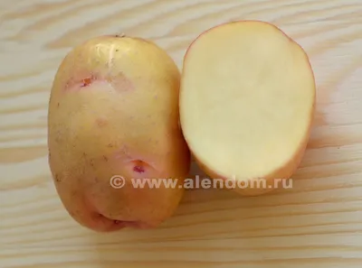 Картофель Жуковский ранний сорт, посадочные семена Элита,