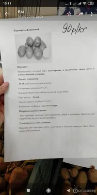 Картофель семенной Жуковский Ранний 4 кг, цена 999 руб. купить в  Зеленчукской
