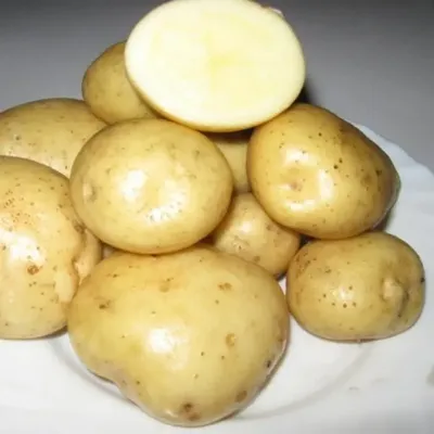 Картофель — Википедия