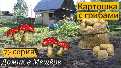 Картошка с салом на мангале - Полезные советы – KOLUNDROV