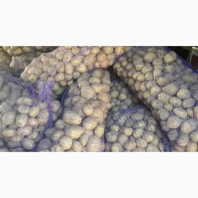 Картофель Гала Ароза опт