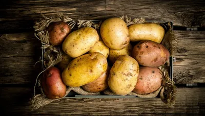 Сегодня 15 мая. Пересмотрела сортовой картофель на посадку. | Деревня в  полях | Дзен
