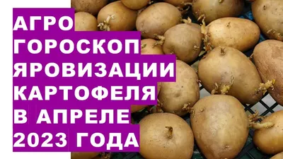 Цены на ягоды, овощи и фрукты на Комаровском рынке