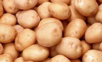 Второй хлеб» в дефиците: картошка на рынке в Уссурийске подскочила в цене -  PrimaMedia.ru