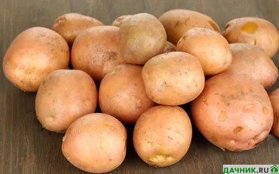 Картошка и ее предназначение | Фаско – надежный уход за садом-огородом |  Дзен