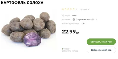 Из фиолетового картофеля «солоха» надумал сварить пюре, демонстрирую, что  получилось | Так Просто! | Дзен