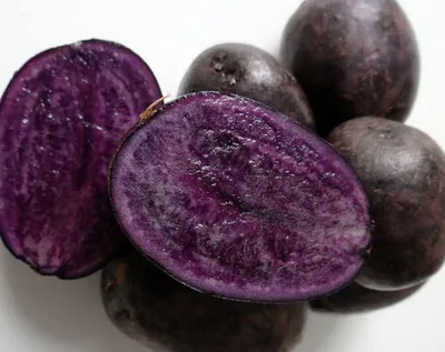 Все о фиолетовом картофеле - полезные статьи о садоводстве от Agro-Market