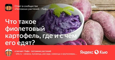 Картофель – для варки, жарки, запекания – как выбрать