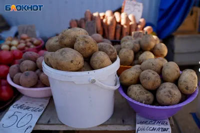 Картошка и ведро | Пикабу