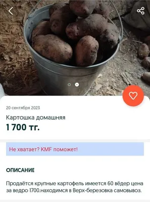 КАРТОШКА... В ЧЁМ УГОДНО! / The Potatoes in anything... / Огород в  контейнерах - YouTube