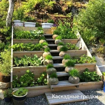 16 разных вариантов украсить ландшафт грядками и облагородить свой труд. |  Дизайн Малина | Дзен