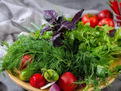 Холодные закуски и салаты-это легкие блюда из овощей, сыров, рыбы, мяса.  Нередко они употребляются в пищу вместе с алкогольными напитками.… |  Instagram