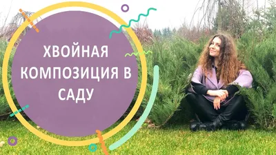 🏡Хвойные композиции 🌲Хвойники как и все другие растения н...