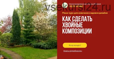 Как грамотно организовать сад из хвойных пород