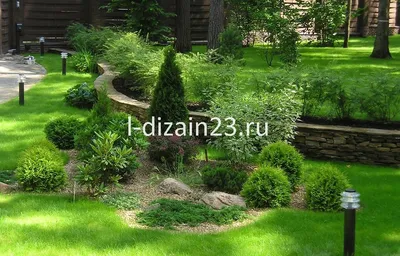 Новости - Хвойные растения для ландшафтного дизайна