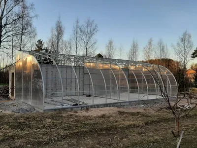 Бесхозные китайские теплицы проинспектировали южноуральские депутаты |  Экология | ОБЩЕСТВО | АиФ Челябинск