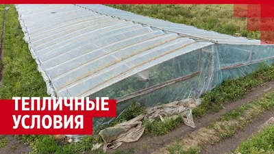 Китай Индивидуальная многопролетная пластиковая пленка Теплица Сделано в  Китае Поставщики, производители, завод - Бесплатный образец - XINHE