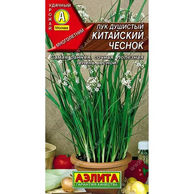 Индийский лук – целитель от 100 болезней, Анна Вячеславовна Щеглова –  скачать книгу fb2, epub, pdf на ЛитРес