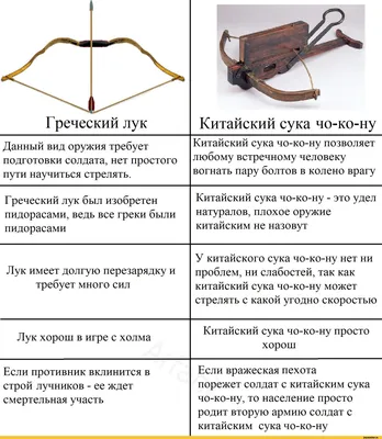 Лук-чеснок, лук душистый, китайский чеснок - растение, которое люблю |  уДачный проект | Дзен