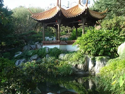 Chinese Garden of Friendship | Ландшафтный дизайн садов и парков