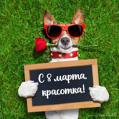 Открытка: Календарь с датой 8 марта | Открытки, Винтажные рождественские  открытки, Праздничные открытки