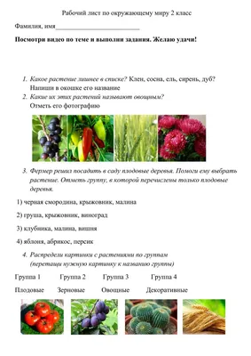 Протеин ProDOZA MIX №1, шоколад-кокос, малина-баблгам, клен.сироп, 24 пак.  по 30 г ProDOZA | Купить с доставкой в интернет-магазине kandi.ru