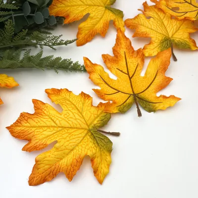Клён. Осень. Лес. Maple. Autumn. Forest. | Autumn