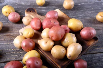 Комплекс мер по защите картофеля: информационные статьи от компании «Август»