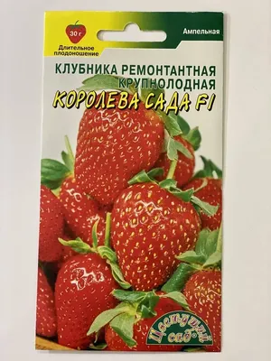 Клубника в саду фото фото