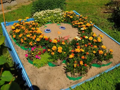 У одного из детских садов Вологды высадили Чебурашку из цветов (ФОТО)