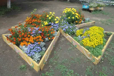 Итоги конкурса «Детский сад — цветущий сад» подвели в Автозаводском районе  | Информационное агентство «Время Н»