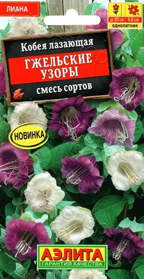 Семена Кобея лазающая Смесь окрасок однолетние 5 шт. ПОИСК 70194936 купить  в интернет-магазине Wildberries