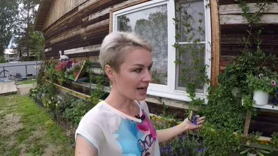 Люблю кобею за ее зеленое буйство, огромных колокольцев, покрывающих лиану  с конца июля до самых белых мух, и в общем-то за нетребовательность к  уходу. | Записная книжка Елены