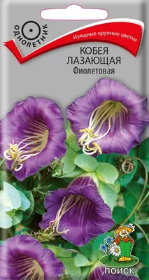 Купить семена Кобея Белая — от НПО Сады Росcии