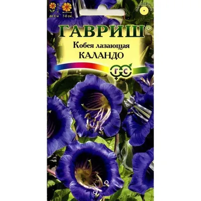 Цветы Кобея Каландо лазающая ЦВ/П (ГАВРИШ) 5шт однолетник до 4м