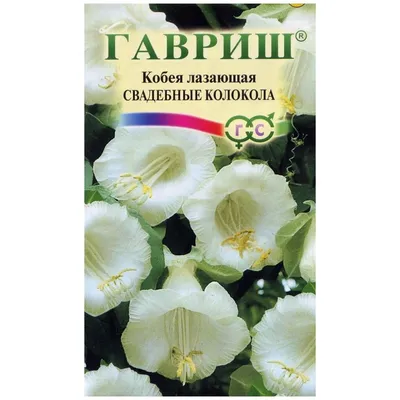 КОБЕЯ. Я её ПРИРУЧИЛА! - YouTube