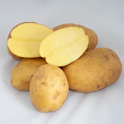 Продажа - Семенной картофель Коломбо