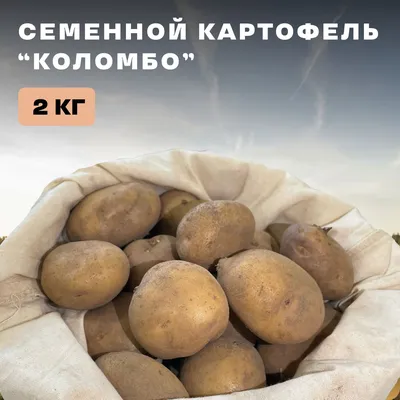 КАРТОФЕЛЬ КОЛОМБО