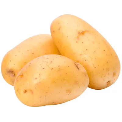 Продам картофель Коломбо от 20тонн, купить картофель Коломбо от 20тонн,  Ставропольский край — Agro-Russia