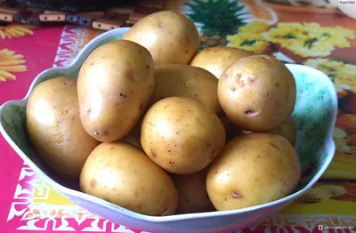 Подкапываем молодой картофель сорт \"КОЛОМБО\" на пробу урожай 2023г. -  YouTube