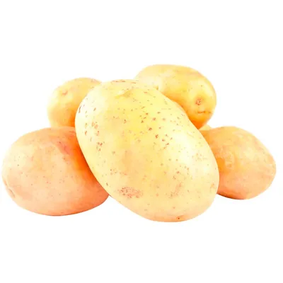 Фото к объявлению: картофель молодой сорта Коломбо, Ривьера, Ред Скарлет —  Agro-Russia