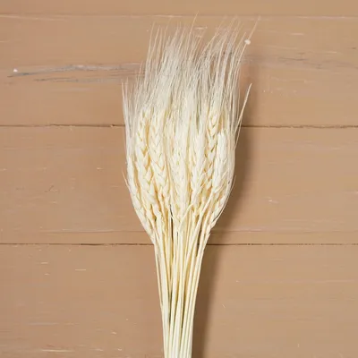 Колоски пшеницы : @lenamal1989 wish