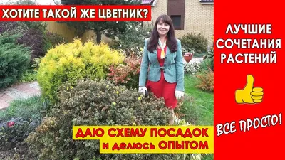 Самые неприхотливые цветы для дачи: 30+ лучших видов