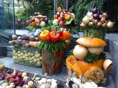 композиция с разноцветными овощами на пеньке. сбор Стоковое Фото -  изображение насчитывающей плодоовощ, продукт: 225211700