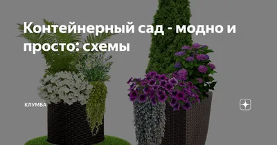 Контейнерное озеленение в ландшафтном дизайне - Флора-Сервис