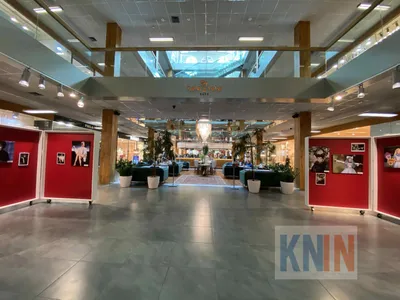 Odessa Holiday Fashion WeekEnd: Day 1 | L.N. Opinion