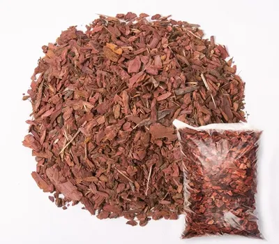 Кора Сосны крупная