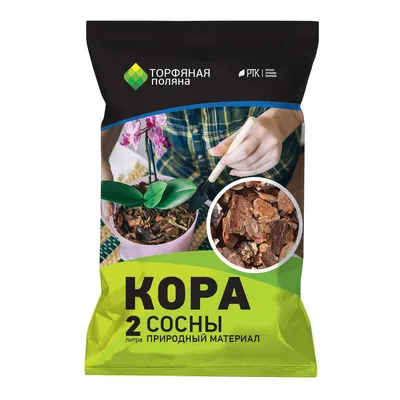 Кора сосны стоковое изображение. изображение насчитывающей вечнозеленый -  170849713