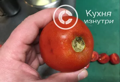 Подозрительные пятна на томатах. Что это? - YouTube